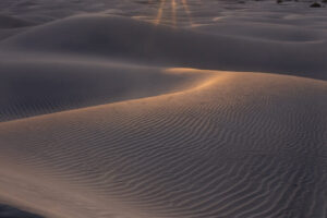 Dune Sunset