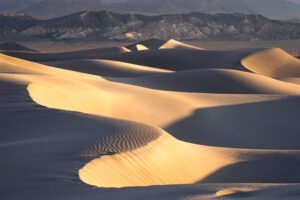 Dune Sunrise