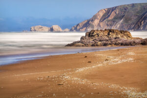 Point Reyes April 2015