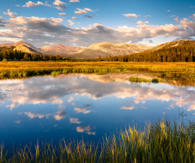 Reflections