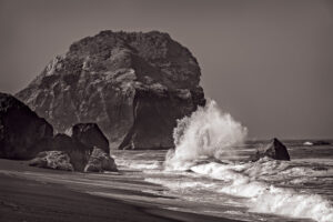 California Coast & Redwoods June 2016