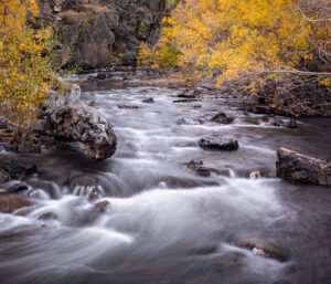 Eastern Sierra Fall Color October 2016