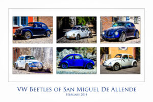 VW Beetles of San Miguel