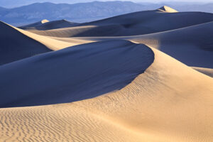 Dunes at Dawn I