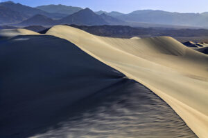 Dunes at Dawn II