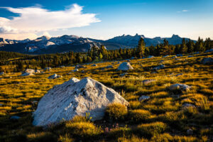 Alpine meadow near Gaylor Lake