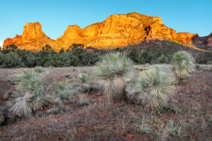 Red Rocks