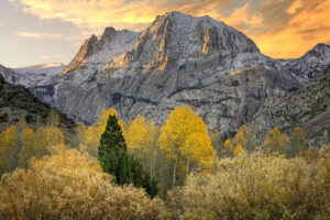 Aspen Daybreak