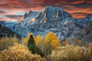 Aspen Daybreak