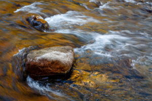 Fall Reflections II