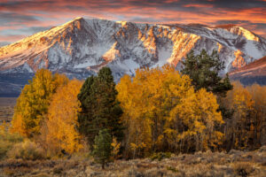 Sierra Sunrise