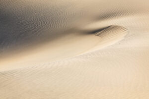 Rings in the Sand