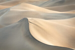 Mesquite Falt Sand Dunes IV