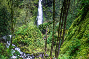 Starvation Creek Falls