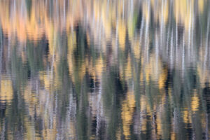 Abstract Reflections