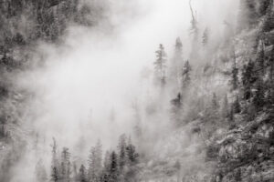 Misty Mountainside