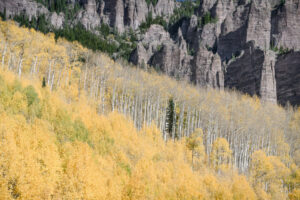 Mountain Fall Color