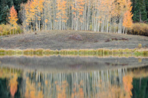 Aspen Reflections