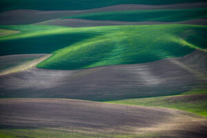 Waves of Grain I