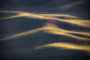 Waves of Grain II