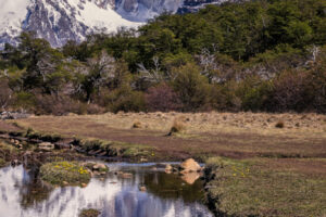 Cerro Torre Reflection