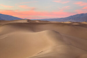 Pastel Dunes