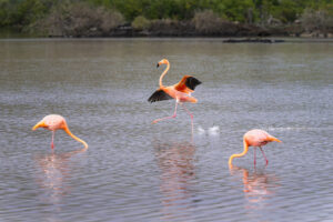 Walking On Water