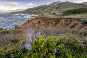 Big Sur Coast