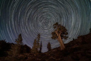 Olmsted Point Star Trails