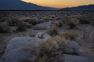 Manizinar Sunrise II