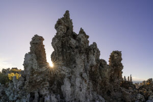 Tufa Sun Star