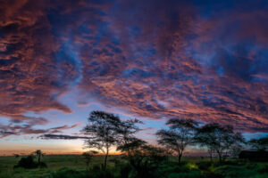 Serengeti Sunset I