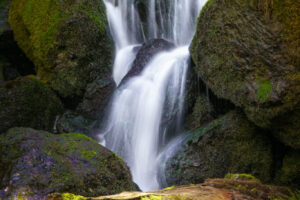 Falls and Fern