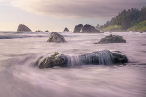 Misty Coast