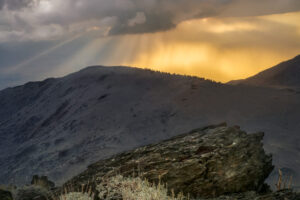 Rays