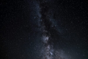 Wizard Tree Milky Way