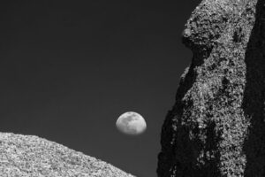 Joshua Tree Moonrise