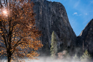 El Capitan Meadow Mist II