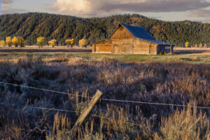 Moulton Barn I