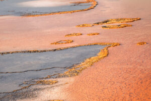 Grand Prismatic V