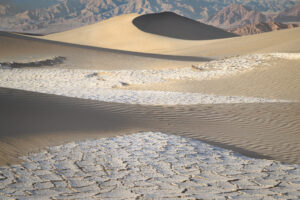 Mud and Dunes