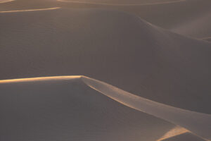 Sunlit Dunes