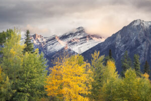 Fall Color and Mountains