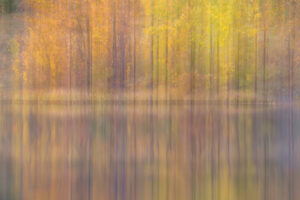 Fall ICM