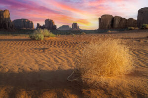 Tumbleweed Sunrise