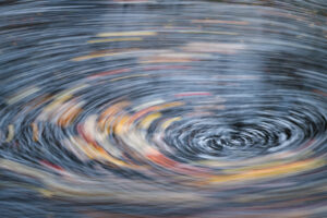 Water and Leaves in Motion II