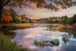 Beaver Pond | Duck Brook, Acadia National Park, Maine | Oct 2024