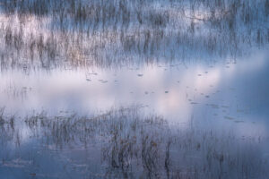 Cloud Reflections