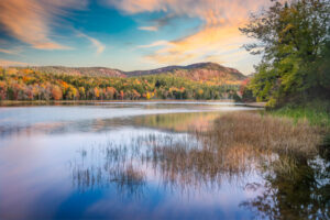 Morning at Little Long Pond I