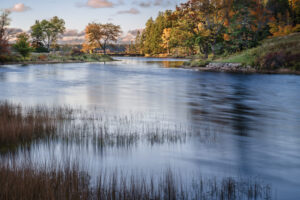 Morning at Little Long Pond III